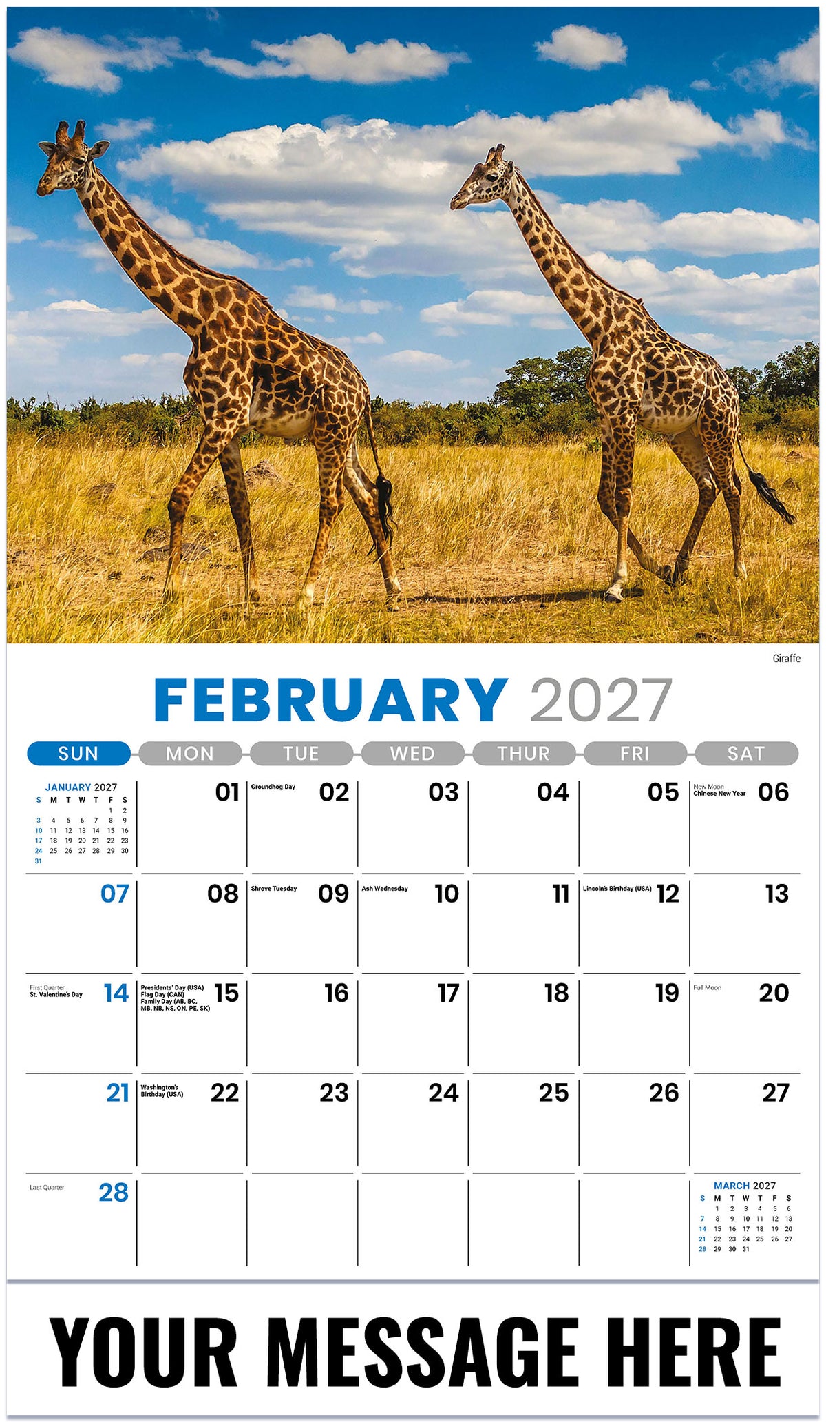 International Wildlife - 2027 Promotional Calendar