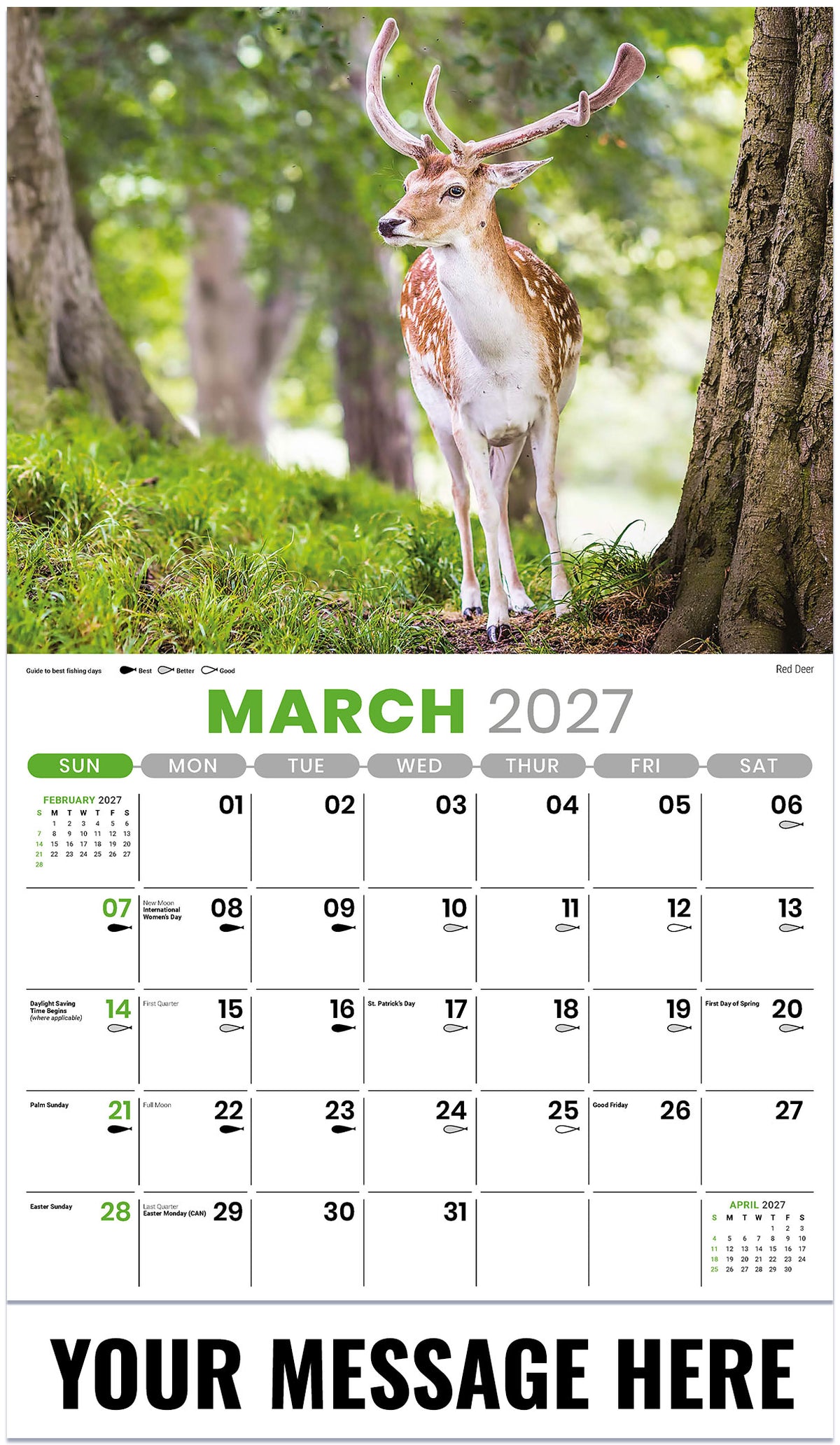 North American Wildlife - 2027 Promotional Calendar