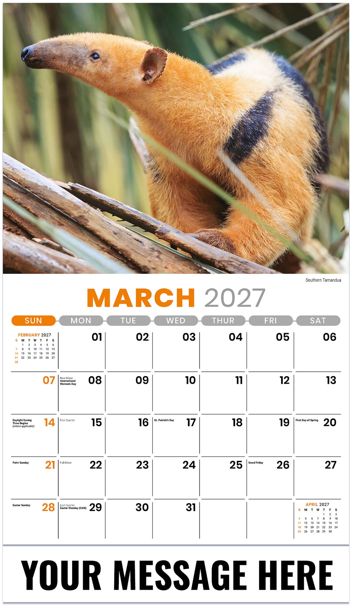 International Wildlife - 2027 Promotional Calendar