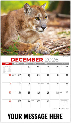 North American Wildlife - 2026 Promotional Calendar