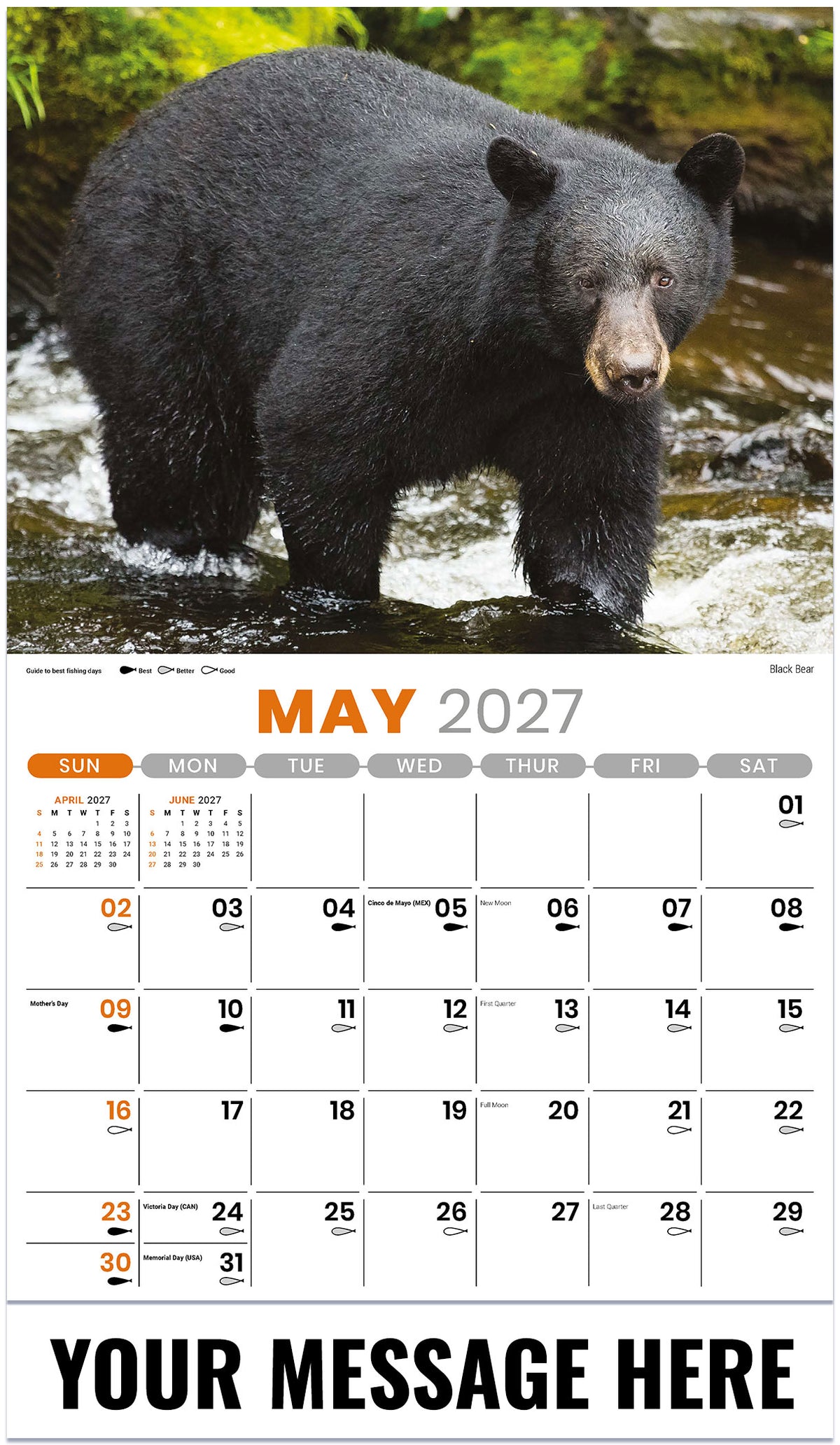 North American Wildlife - 2027 Promotional Calendar
