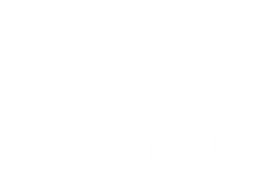 Automotive