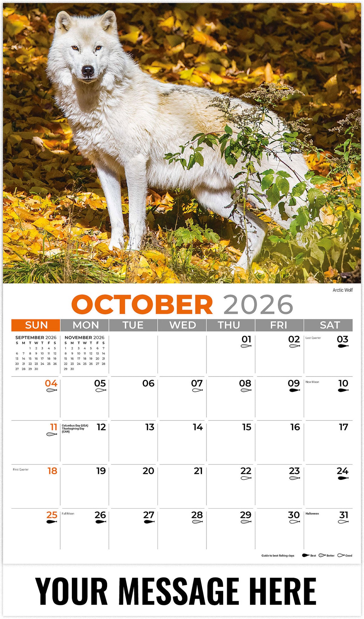 North American Wildlife - 2026 Promotional Calendar