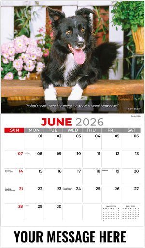 Dogs: Man's Best Friends - 2026 Promotional Calendar