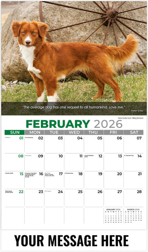 Dogs: Man's Best Friends - 2026 Promotional Calendar