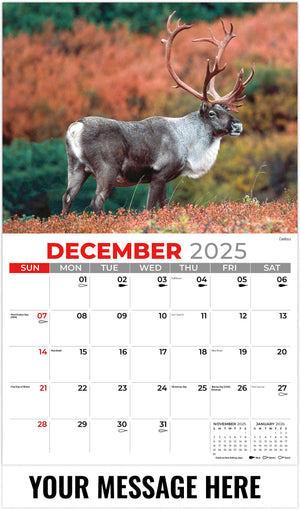 North American Wildlife - 2026 Promotional Calendar