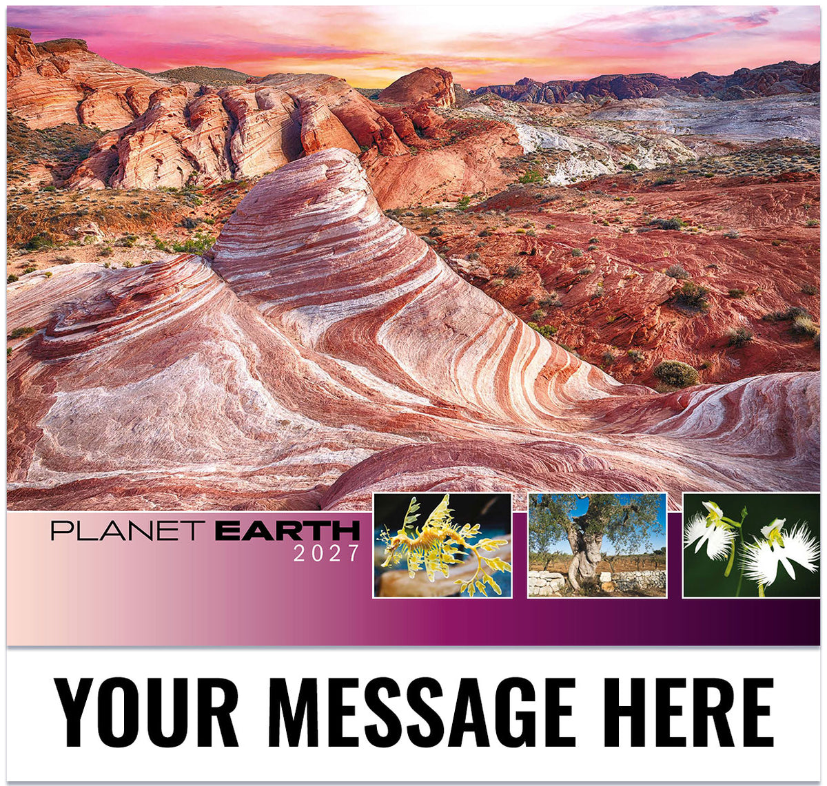 Planet Earth - 2027 Promotional Calendar