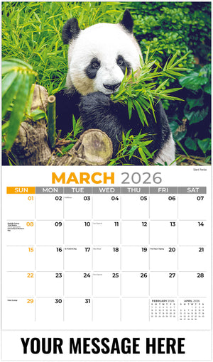 International Wildlife - 2026 Promotional Calendar