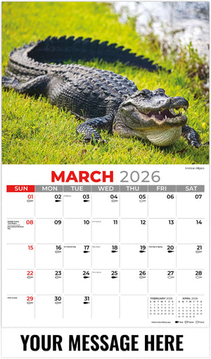 North American Wildlife - 2026 Promotional Calendar