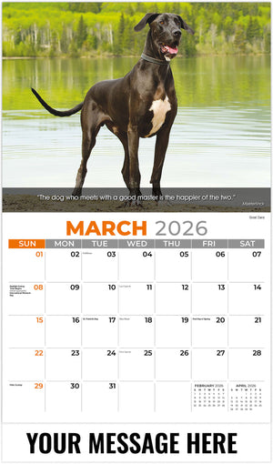 Dogs: Man's Best Friends - 2026 Promotional Calendar