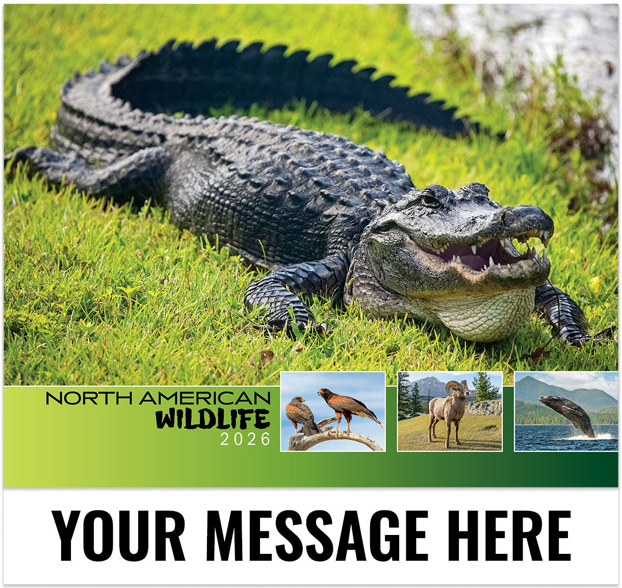 North American Wildlife - 2026 Promotional Calendar