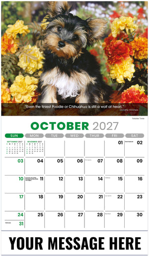 Dogs: Man's Best Friends - 2027 Promotional Calendar