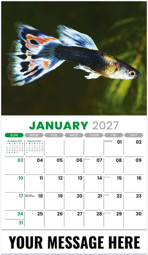Pets - 2027 Promotional Calendar