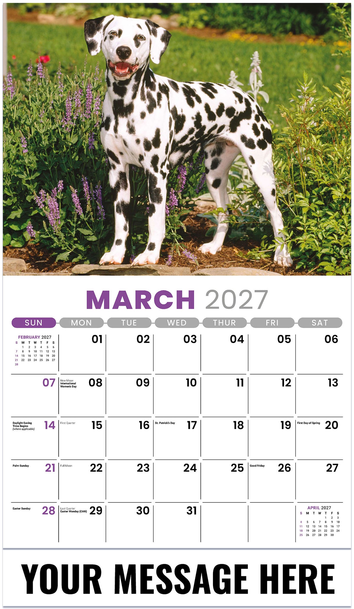 Pets - 2027 Promotional Calendar