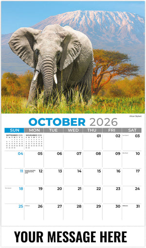 International Wildlife - 2026 Promotional Calendar