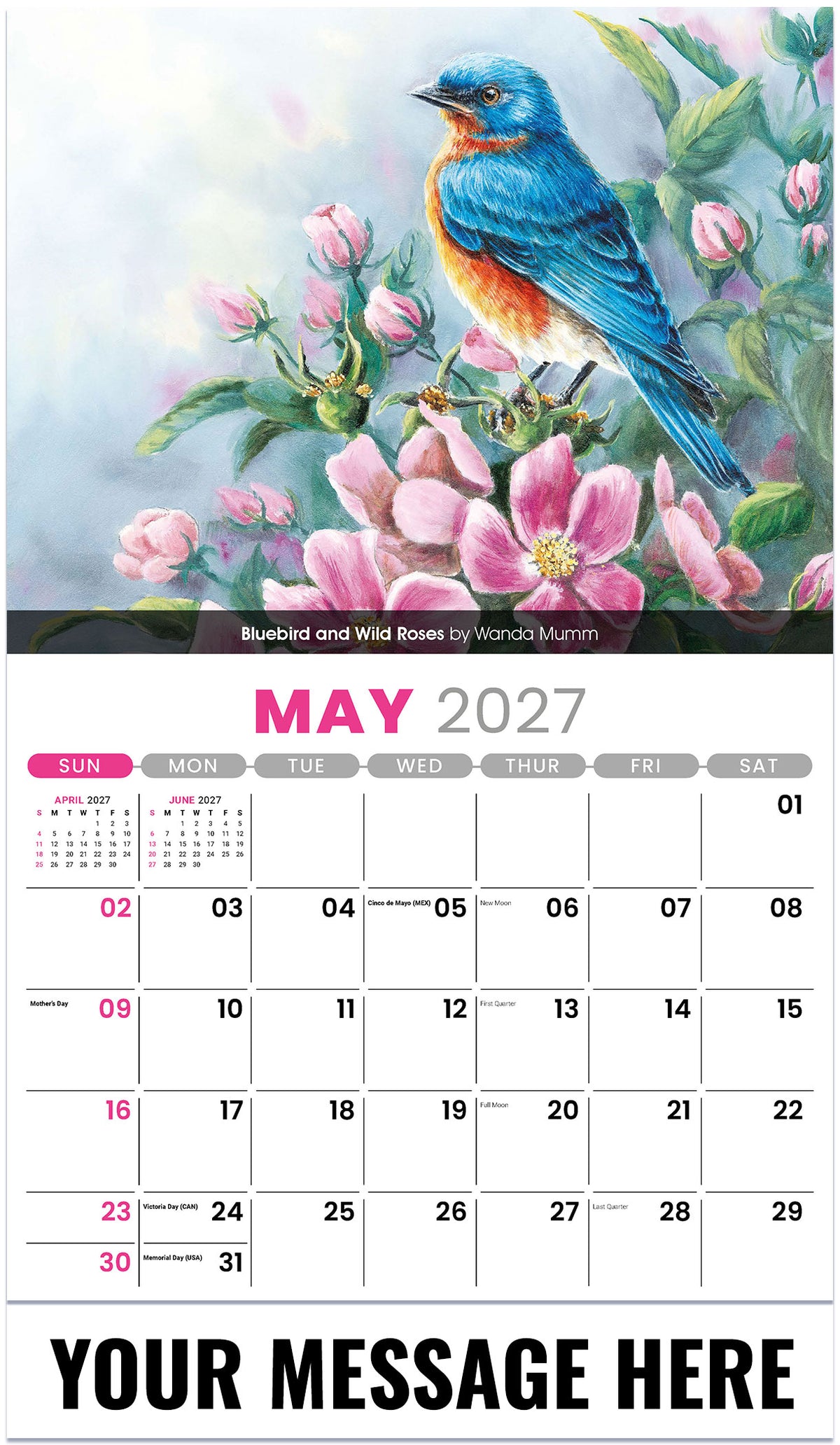 Garden Birds - 2027 Promotional Calendar