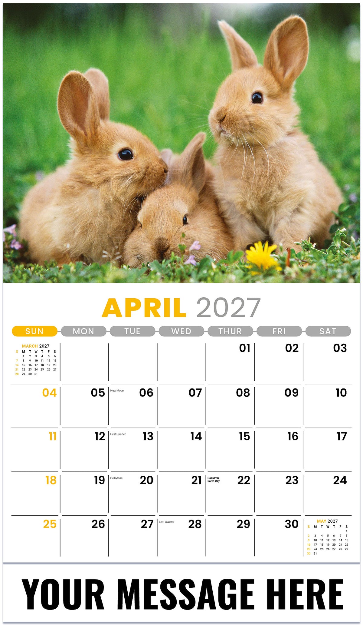 Pets - 2027 Promotional Calendar