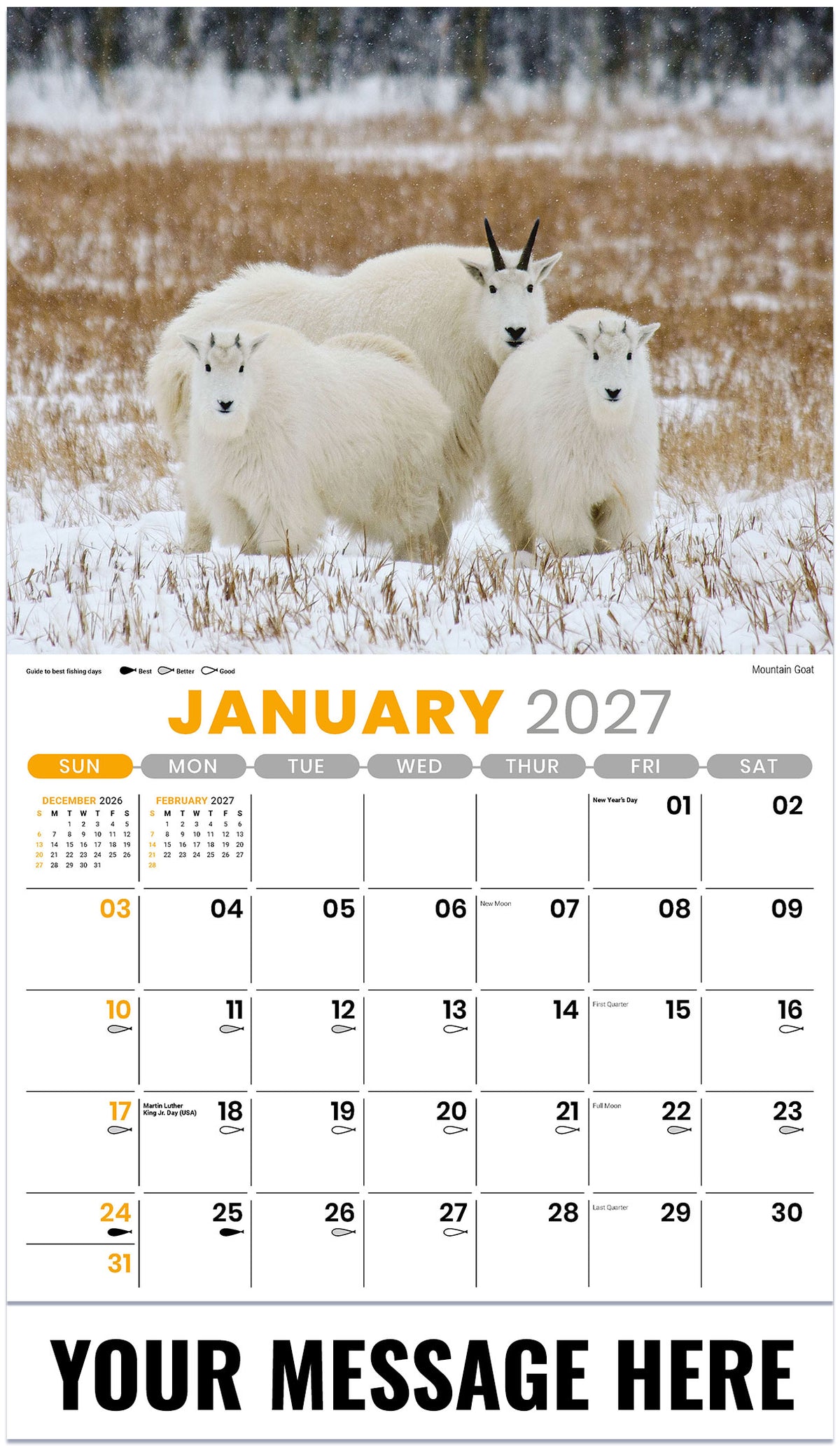 North American Wildlife - 2027 Promotional Calendar
