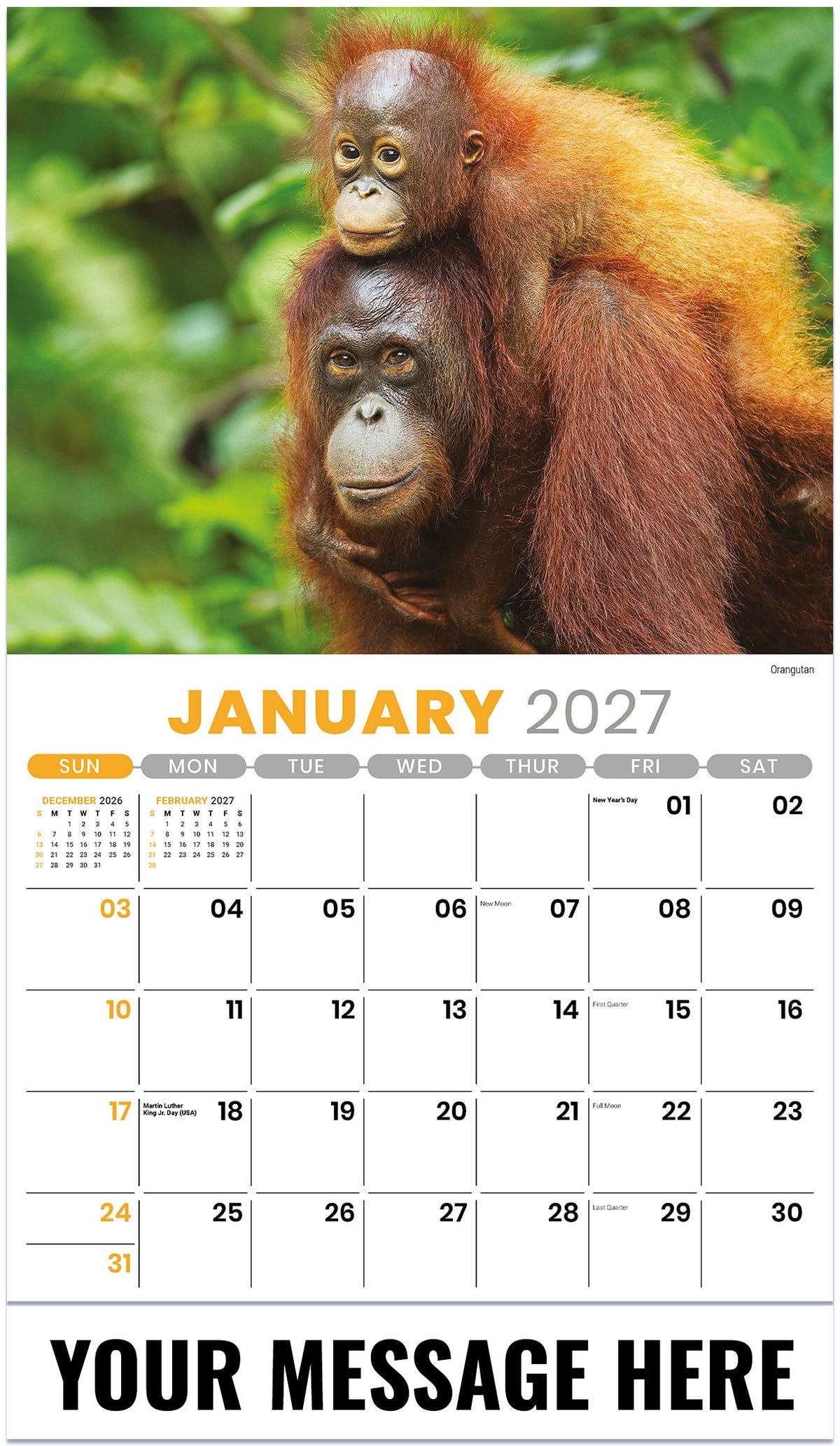 International Wildlife - 2027 Promotional Calendar