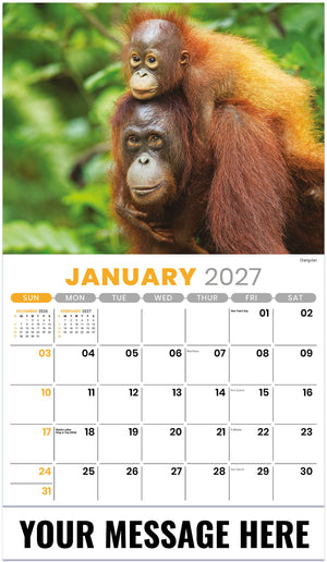 International Wildlife - 2027 Promotional Calendar
