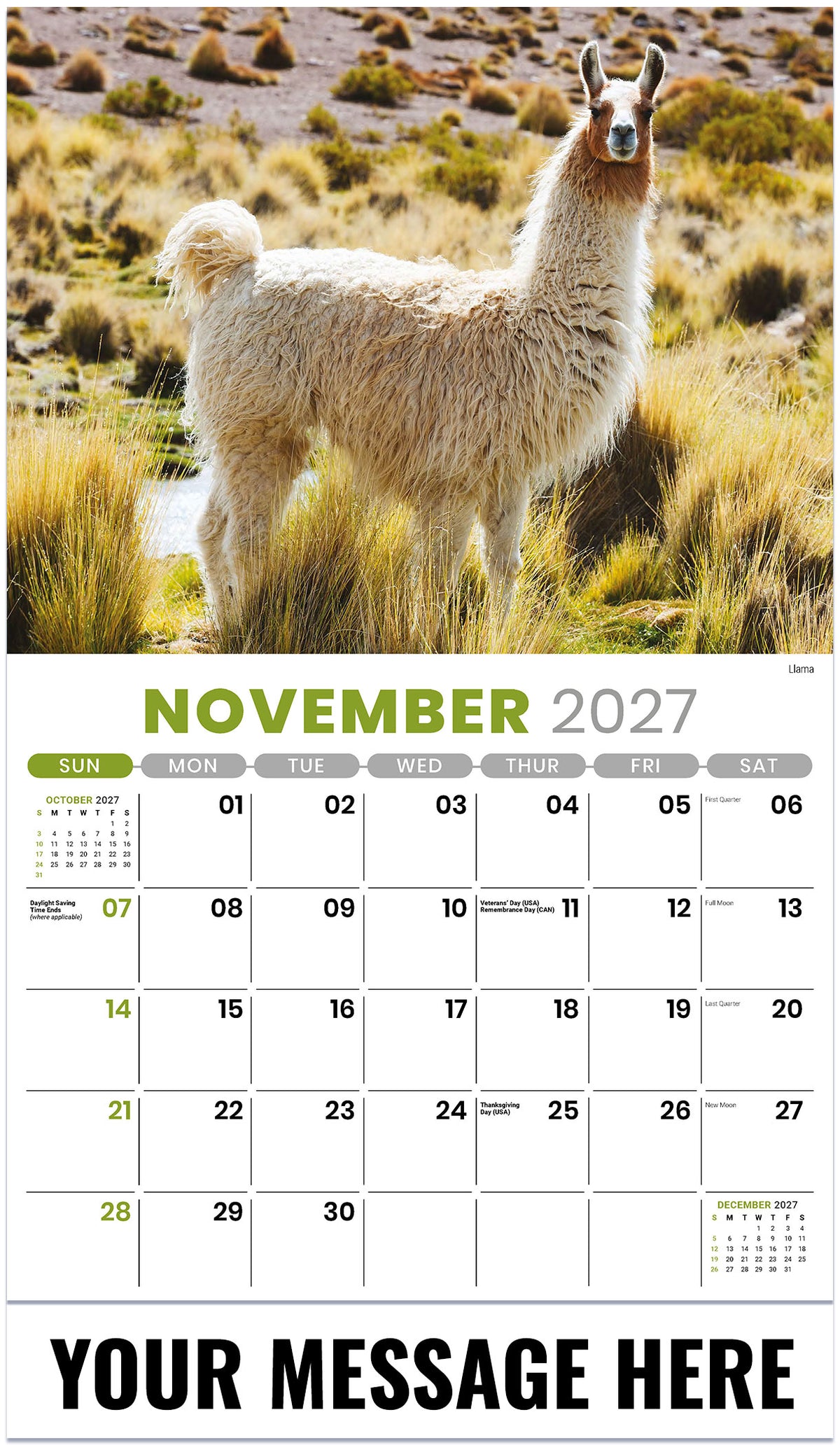 International Wildlife - 2027 Promotional Calendar