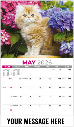 Kittens - 2026 Promotional Calendar