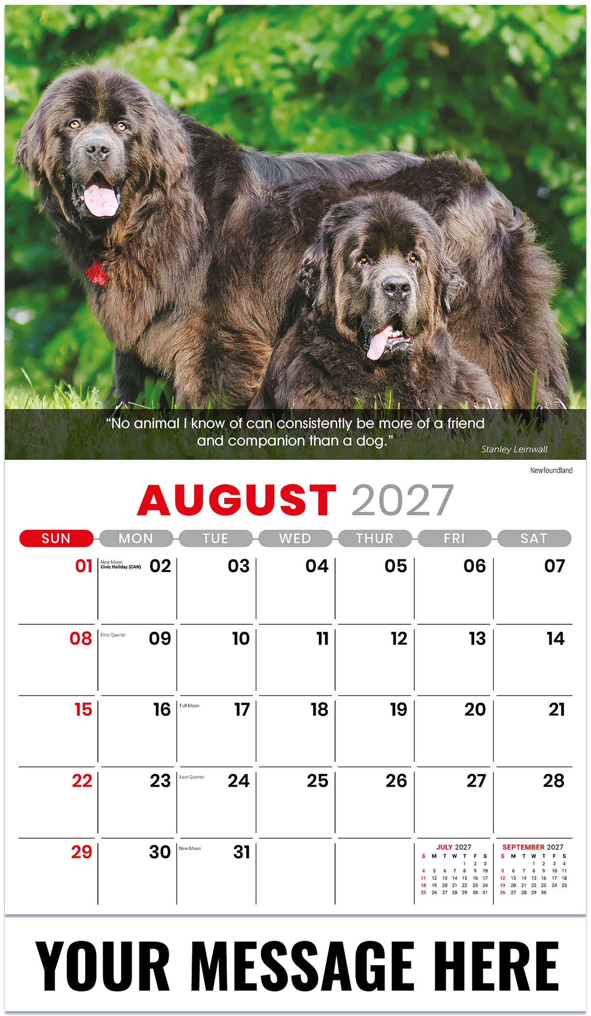 Dogs: Man's Best Friends - 2027 Promotional Calendar