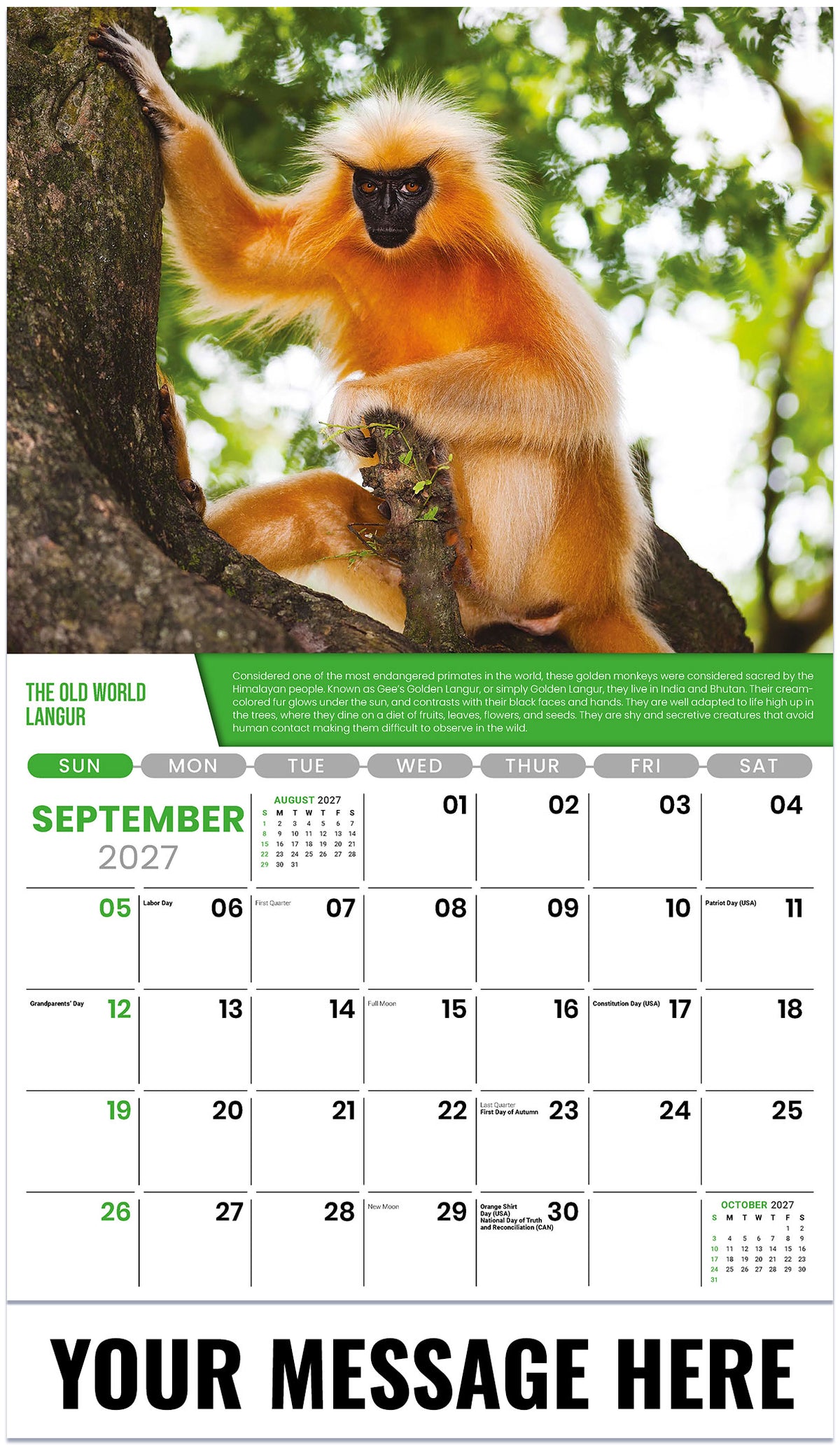 Planet Earth - 2027 Promotional Calendar