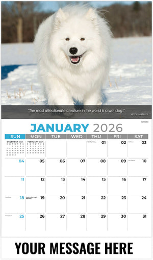 Dogs: Man's Best Friends - 2026 Promotional Calendar