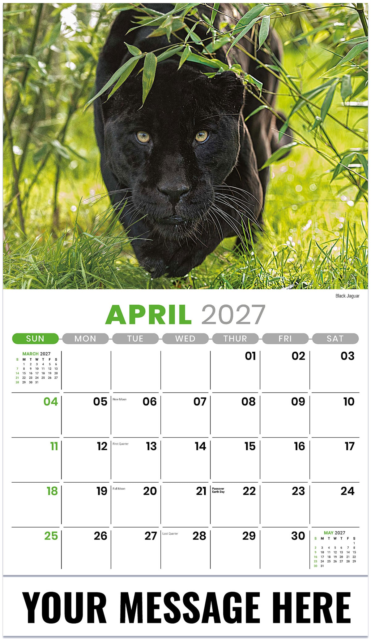 International Wildlife - 2027 Promotional Calendar