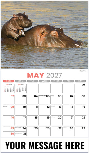 International Wildlife - 2027 Promotional Calendar