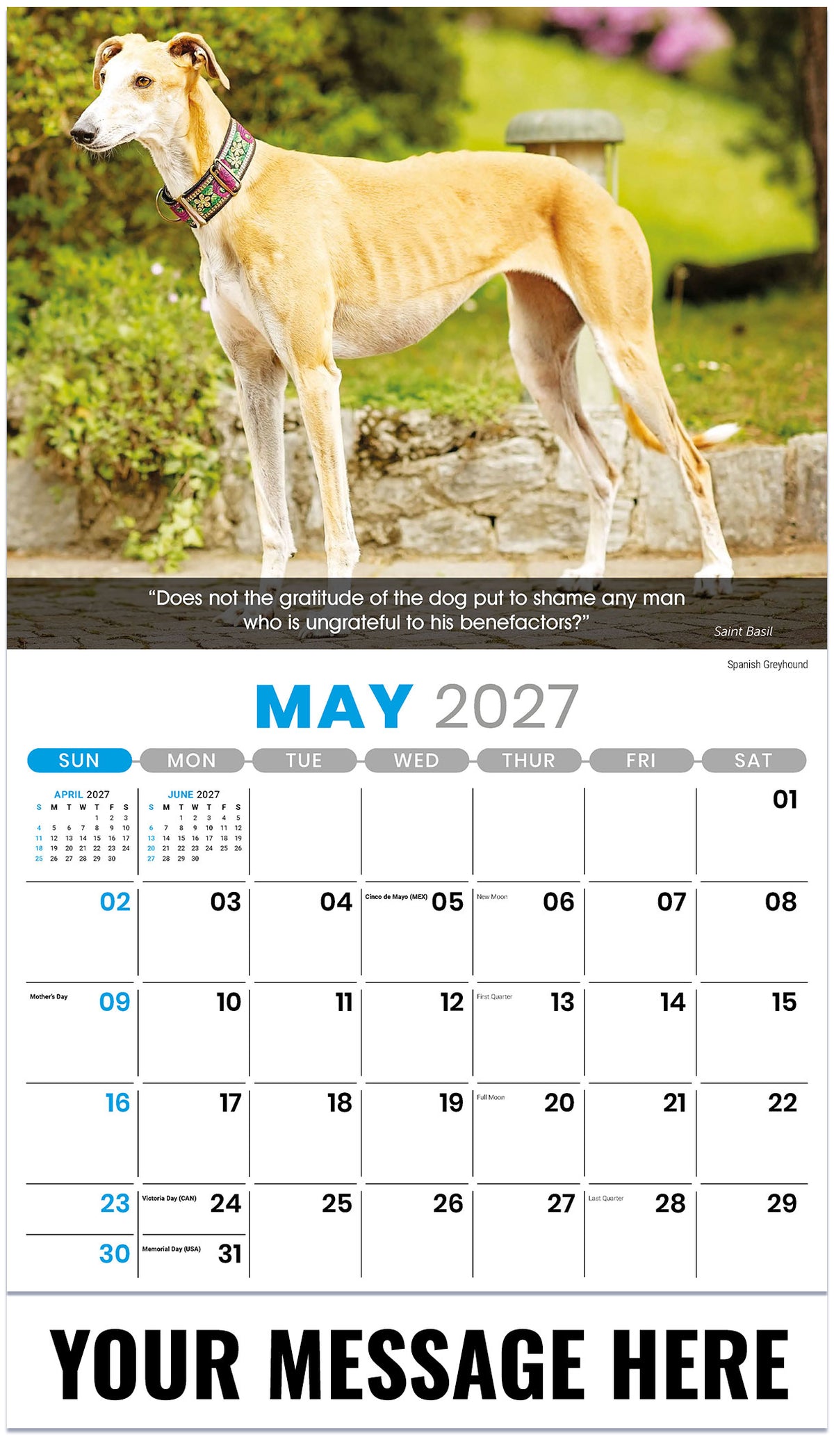 Dogs: Man's Best Friends - 2027 Promotional Calendar