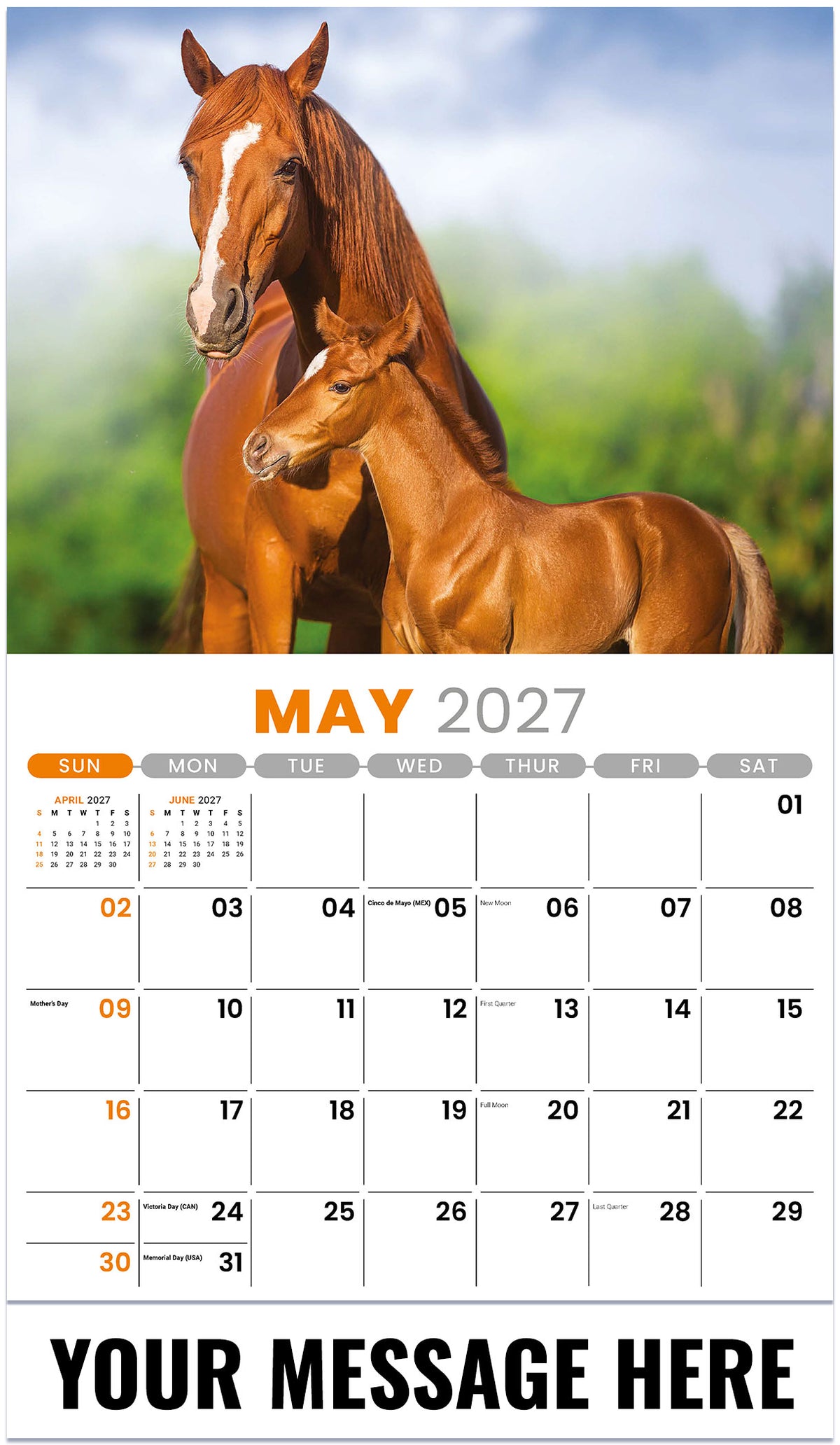 Pets - 2027 Promotional Calendar