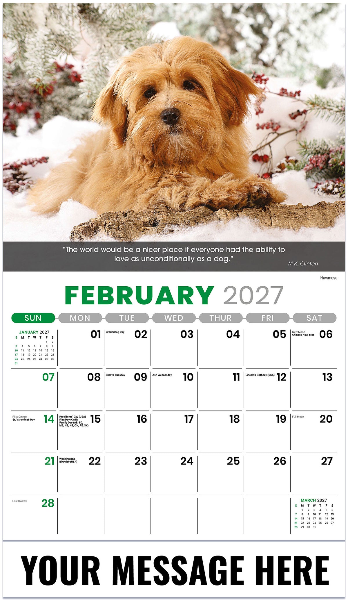 Dogs: Man's Best Friends - 2027 Promotional Calendar